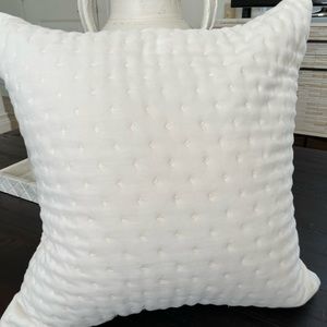 Pottery Barn Velvet Pillow throw